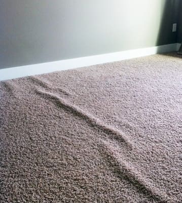 Carpet stretching by Sultan Flooring & Rugs - Silver Spring, MD